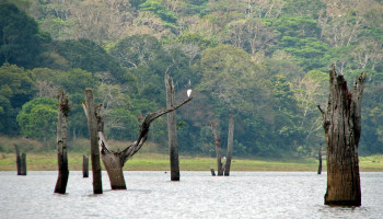 Exotic Kerala – 7 nights Kerala package