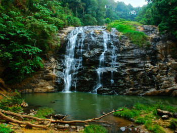 Fabulous South India