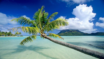 Delights Of Andaman