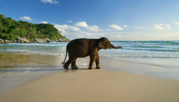 Delights Of Andaman