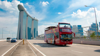 Singapore Delight Classic Tour