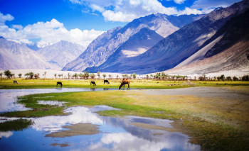 Adventurous Ladakh