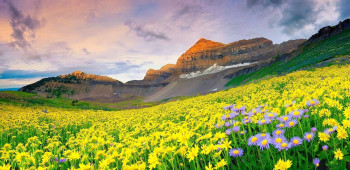 Mesmeric Uttarakhand