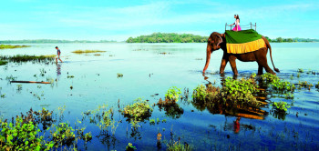 Sri Lanka Delight Classic Tour
