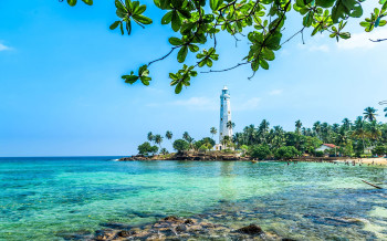 Sri Lanka Scenic Premium Journey