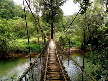 Short Trip To Ooty