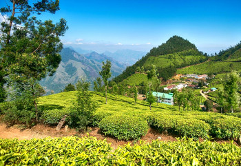 Idyllic Meghalaya