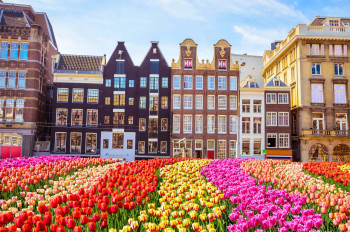 Amazing Netherlands Tour – Canals, Windmills & Culture
