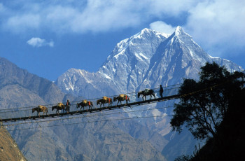 Glimpse Of Nepal
