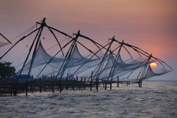 Charismatic Cochin