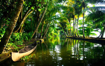 An Idyllic Honeymoon In Kerala