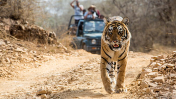 Exhilarating Tour Of Madhya Pradesh