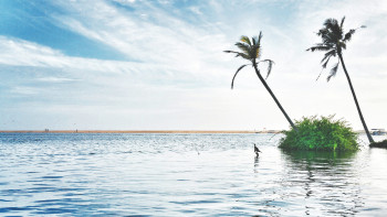 Amazing Kerala