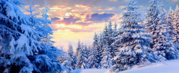 Magical Himachal