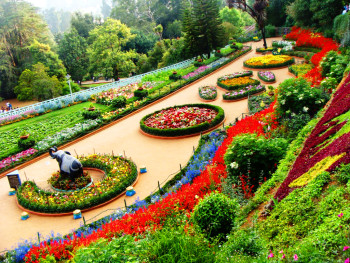 Short Trip To Ooty (Ex.Mumbai)