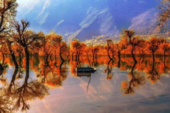 Best Of Jammu Kashmir