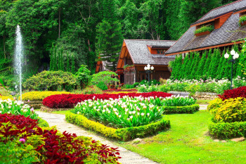 Engaging Coorg With Ooty