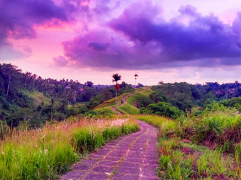 Superb Bali Highlights – Complete Island Tour