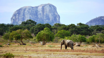 Colombo City Discovery Break – 2 nights Sri Lanka package