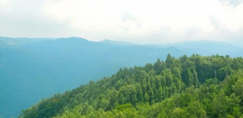Magnificent Tamil Nadu