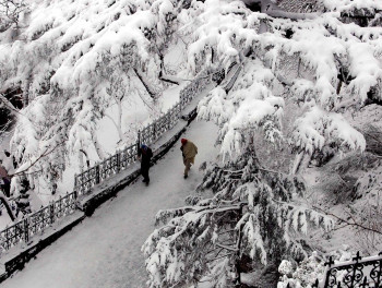 Beauty Of Himachal