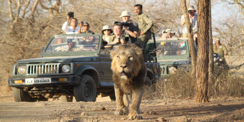 Fascinating Gir And Bhuj