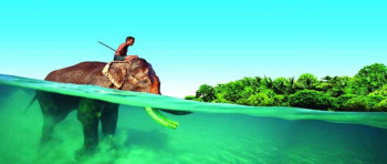 Fantastic Andaman