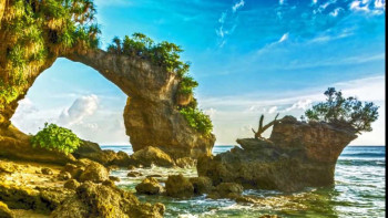 Splendid Andaman