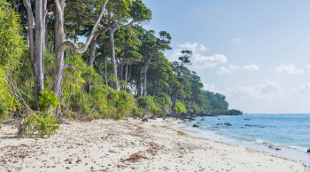 Splendid Andaman