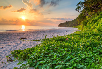 Mesmerizing Andaman