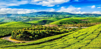 Evergreen South India