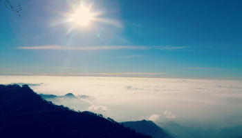 Evergreen South India
