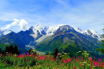Adventurous Escape To Uttarakhand