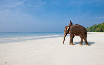 Exotic Andaman Luxury Special