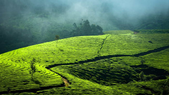 Marvels Of Kerala