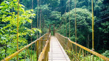 Mesmerizing Western Ghats