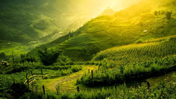 Kerala God’s Own Land