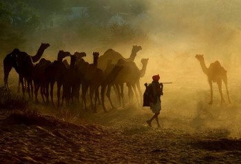 The Magic Of Rajasthan