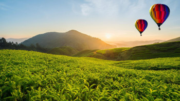 Sri Lanka Romantic Honeymoon Escape