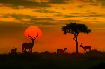 Lovely Jim Corbett With Rishikesh – 8 nights Weekend Getaways from Delhi package