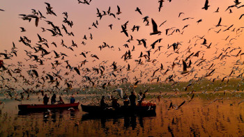 Charm Of Delhi