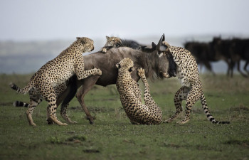 Adventurous Holiday In Madhya Pradesh