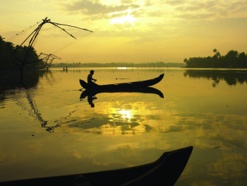 Kerala Special Hills & Backwaters