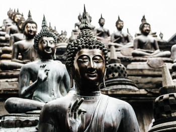 Sri Lanka Highlights & Wildlife Safari – 5 nights Sri Lanka package