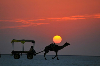 Gems Of Gujarat