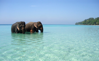 Simply Andaman