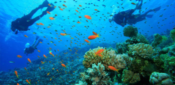 Simply Andaman