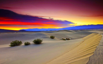The Glimpse Of Desert
