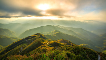 Eastern Delight