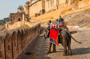 Jaipur Delight